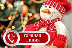О проведении «горячей линии» по вопросам качества и безопасности детских товаров, выборе новогодних подарков