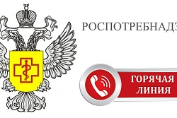 О проведении «горячей линии» по качеству и безопасности плодовоовощной продукции
