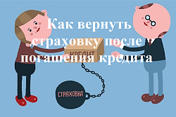 Можно ли вернуть страховку после погашения кредита?